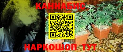 тгк Новозыбков