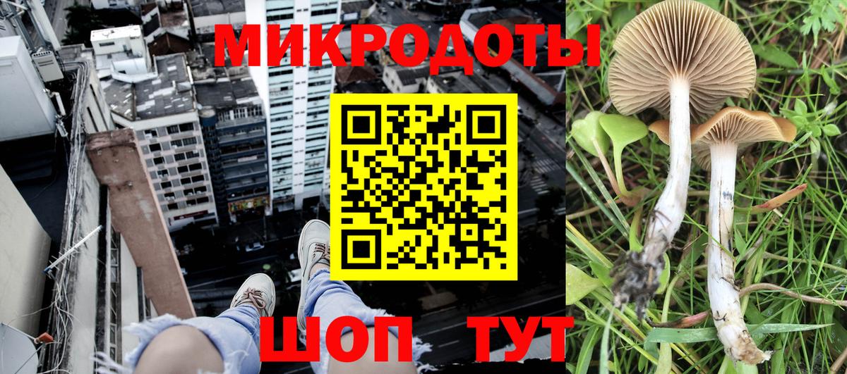 Псилоцибиновые грибы мицелий Улан-Удэ